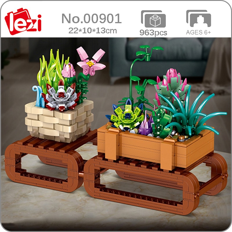 Lezi 00901 Succulents and Orchid Camellia in Pot Plant